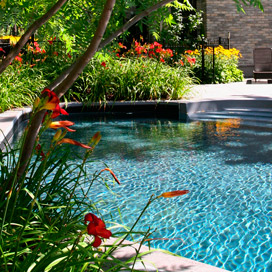 piscine et jardin intime